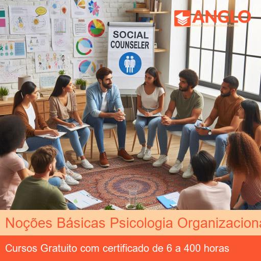 Noções Básicas Psicologia Organizacional